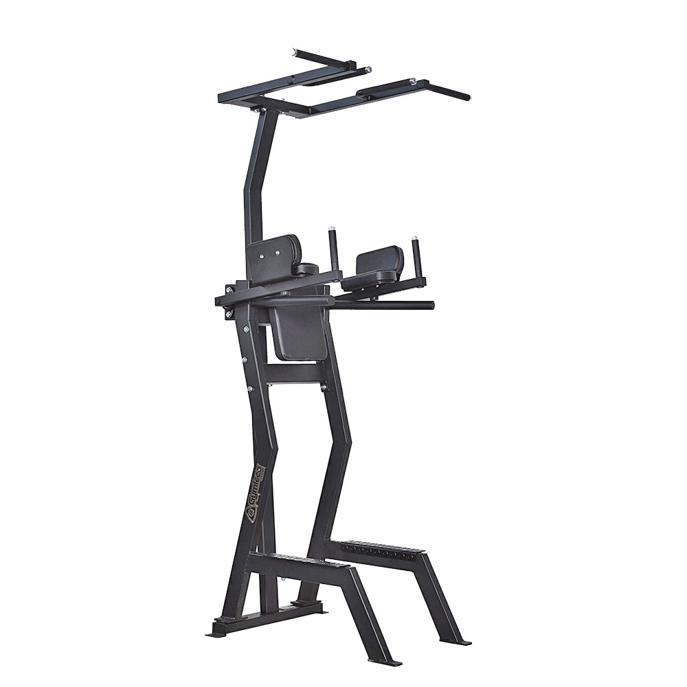 179 Gymleco Leg Lift with Chins and Dip Function - Gymleco Nederland
